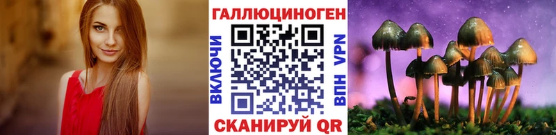 Псилоцибиновые грибы Cubensis  блэк спрут   Балахна 