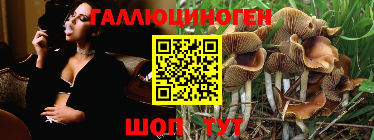 Галлюциногенные грибы Psilocybine cubensis  Вход с VPN  как найти   Балахна 